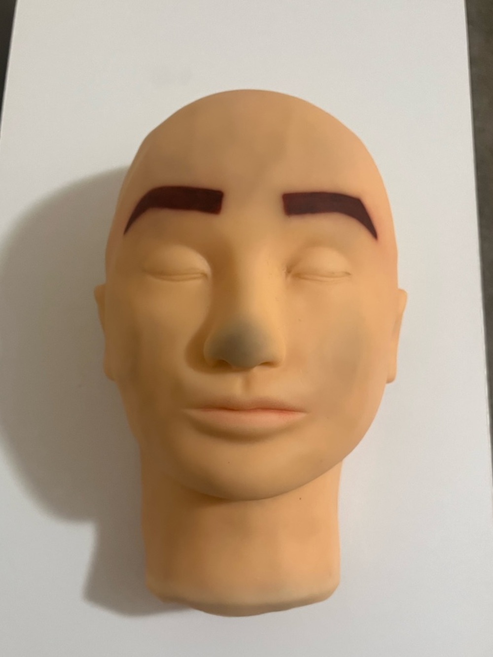 Mannequin Practice Head with Eyebrows – Great for State Board
